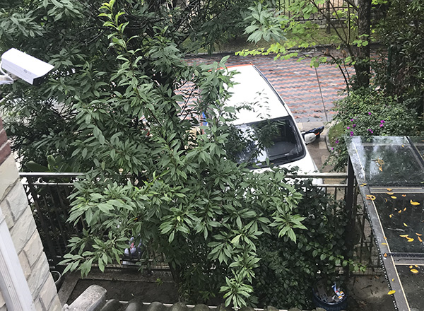 1626056385117272.jpg 6001.jpg